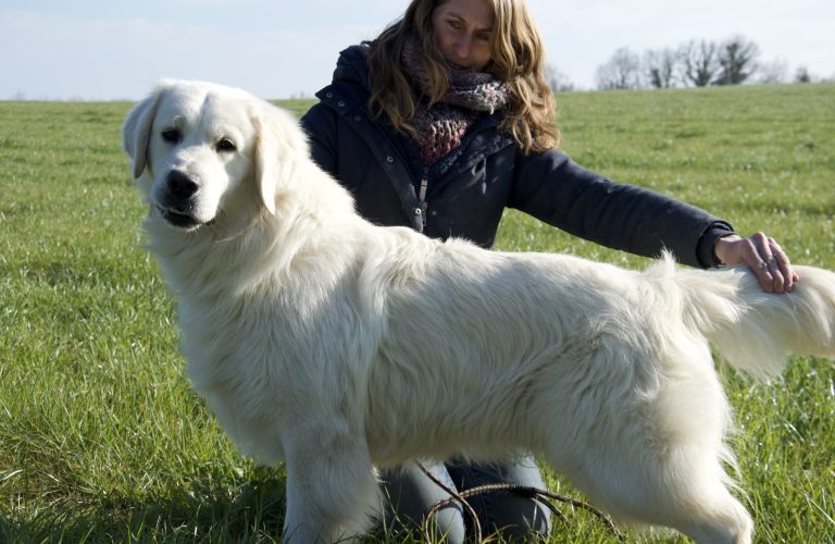 0A1B3626-2743-4B22-B794-46FC6EFA209A_1_100_o 0A1B3626-2743-4B22-B794-46FC6EFA209A_1_100_o