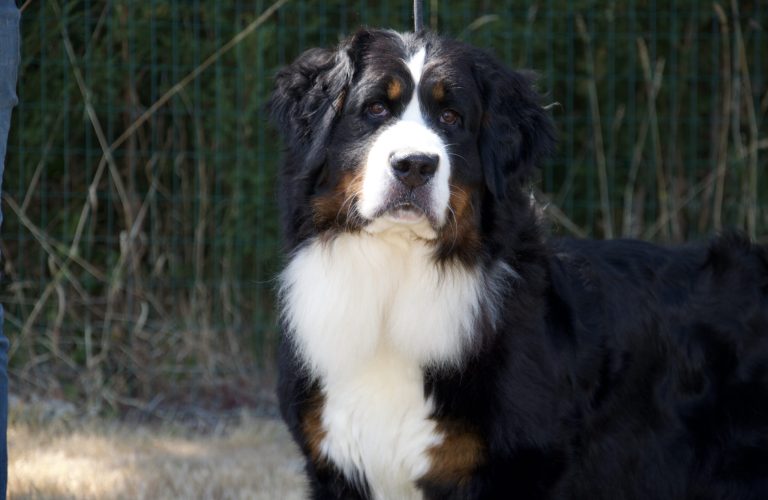 14D53CD3-E5D3-4C19-9E76-4772ABAD5556_1_100_o