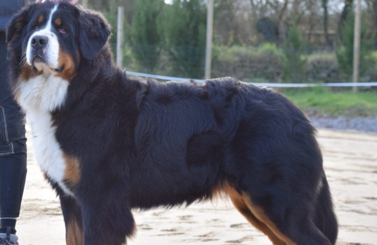 1ADFD716-AE28-4494-B36F-135E2DBE3750