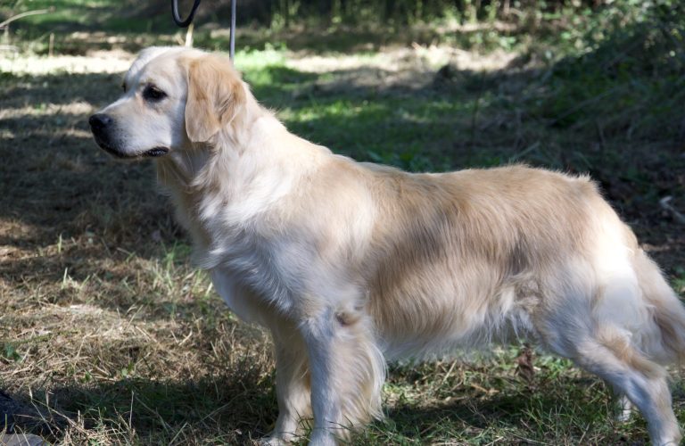 2B7937D8-8CFE-49D3-9FF6-8049E868CC41_1_100_o 2B7937D8-8CFE-49D3-9FF6-8049E868CC41_1_100_o