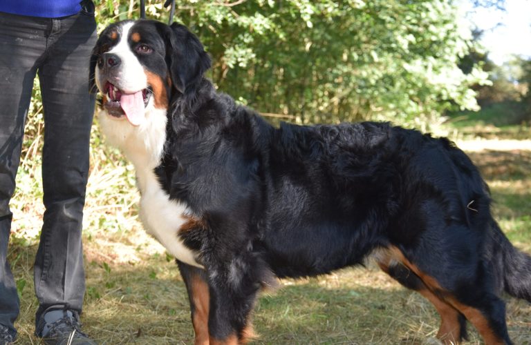 3B359B37-A2E9-42B6-AE6C-6AE6737904C4 3B359B37-A2E9-42B6-AE6C-6AE6737904C4