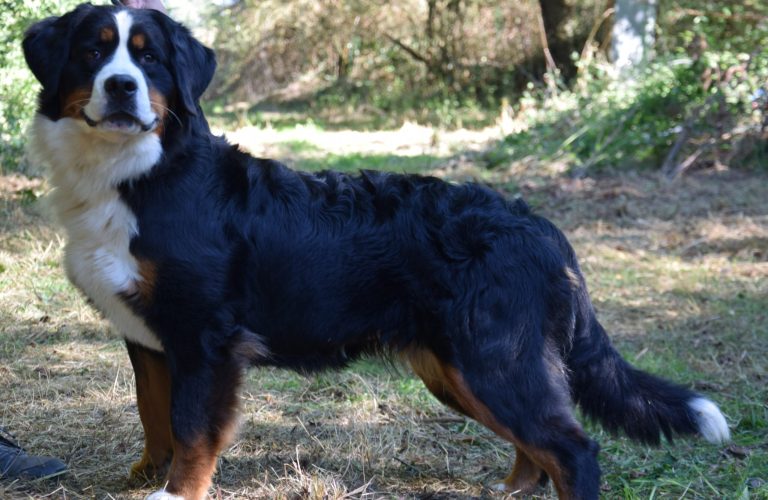 8003D3BE-D15D-40EF-9BB1-066541CB8428 8003D3BE-D15D-40EF-9BB1-066541CB8428