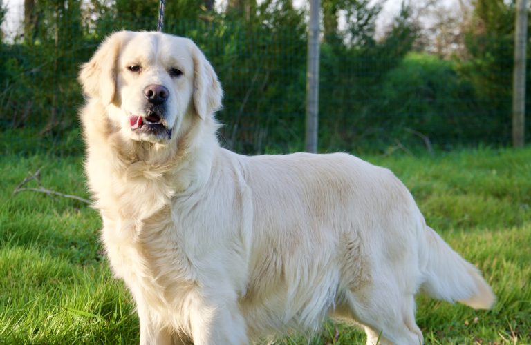 85401999-3567-4208-AAF7-5E8AFE5A6615_1_201_a 85401999-3567-4208-AAF7-5E8AFE5A6615_1_201_a