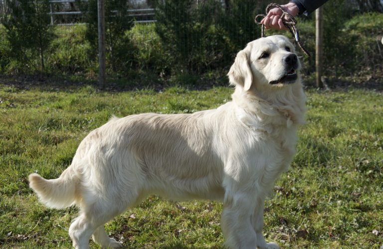 96D38E8B-C464-4731-BB4B-DFDE7A59D34E_1_100_o 96D38E8B-C464-4731-BB4B-DFDE7A59D34E_1_100_o