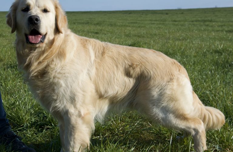 97CE74D8-8D15-4BD9-98A8-73CF8CCE7030_1_201_a