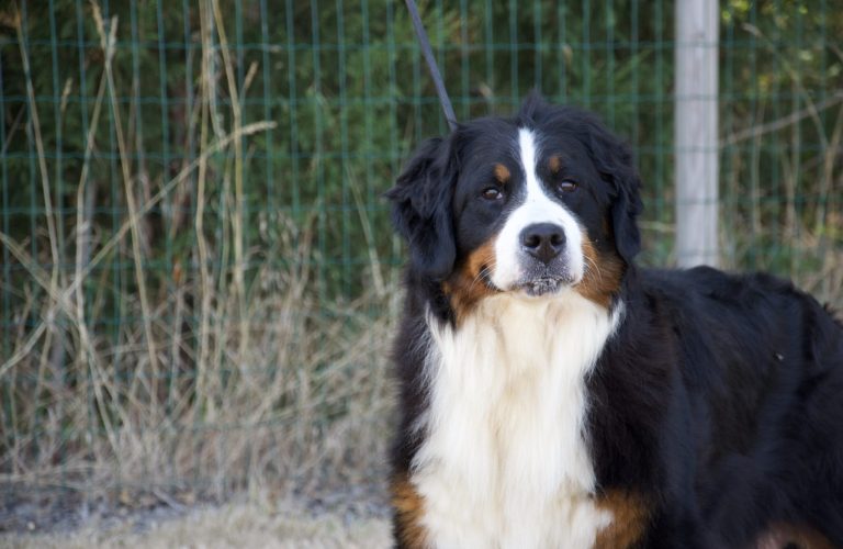 A80B3BA6-16E8-494E-92A9-630D14A7273E_1_100_o