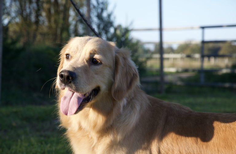 BA0A3F1D-2958-464B-BC14-93C6C6AD1131_1_100_o BA0A3F1D-2958-464B-BC14-93C6C6AD1131_1_100_o