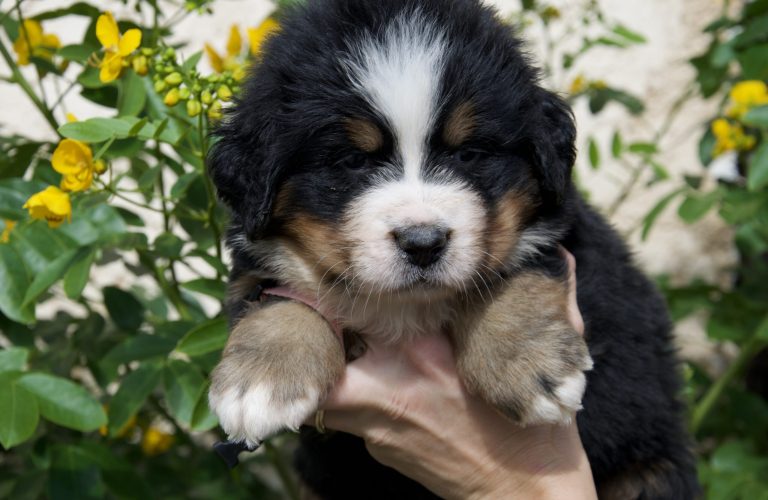 F0FB3EF9-4567-4996-8883-878D2DCBFBF8_1_100_o