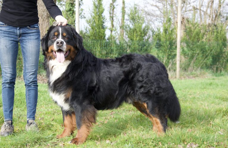 F62E0F1E-312A-4D5B-ACA3-C250483266BF_1_100_o